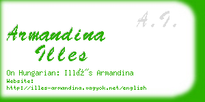 armandina illes business card